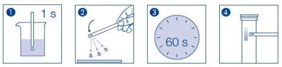 messageImage_1723706114316.jpg